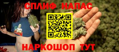 стаф Малоярославец