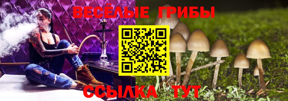Псилоцибиновые грибы Cubensis Ялуторовск