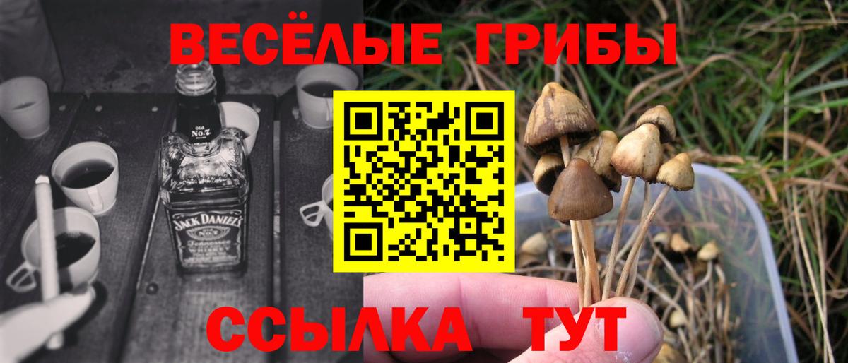 Ялуторовск  Псилоцибиновые грибы MAGIC MUSHROOMS  Вход с VPN 